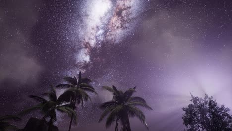 Milky-Way-Galaxy-over-Tropical-Rainforest.